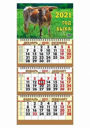 Календарь настенный "Символ года. В задумчивости" на 2021 год фото книги