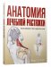 Анатомия лечебной растяжки фото книги маленькое 2