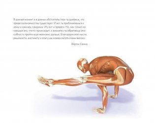 Ключевые позы йоги. Руководство по функциональной анатомии йоги фото книги 3