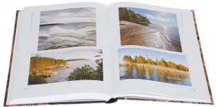 Петроглифы Онежского озера фото книги 2