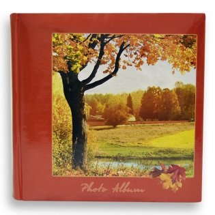Фотоальбом "4 seasons" (200 фотографий) фото книги