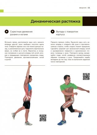 Анатомия лучших упражнений для похудения и фитнеса по системе Massfit фото книги 7