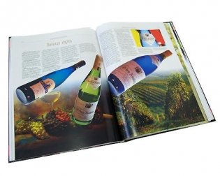 Вино фото книги 4