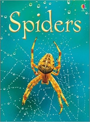 Spiders фото книги