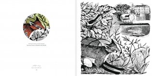 Angela Harding Coloring Book фото книги 4