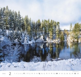 Forest (Лес). Календарь настенный на 2022 год фото книги 5