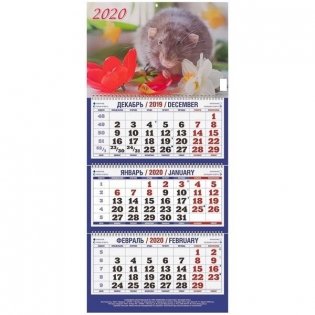 Календарь настенный квартальный трехблочный на 2020 год "Символ года. Вид 1", 310x685 мм фото книги