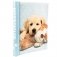 Фотоальбом "Puppies and kittens" (10 листов) фото книги маленькое 2