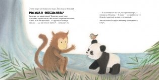 Малыш-панда потерялся фото книги 5