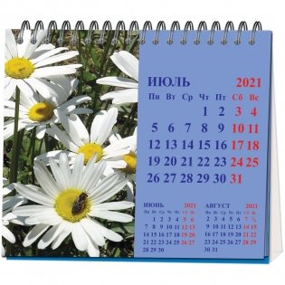 Календарь-домик настольный на 2021 год "Времена года" (120x110 мм) фото книги 3