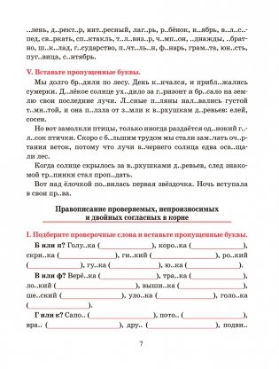 Русский язык. Тренажёр по орфографии и пунктуации. 5 класс фото книги 8