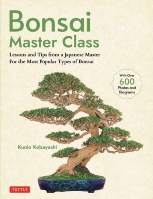 Bonsai master class фото книги