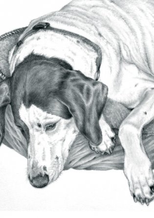Записная книжка "Собака" (А6) фото книги