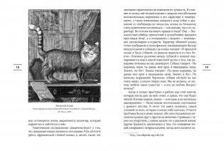 Таинственный мир кошек. Мифология, история и наука о сверхъестественных способностях самого независимого домашнего питомца фото книги 4