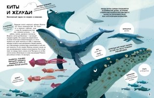 Вместе лучше! Командная работа в мире животных фото книги 4