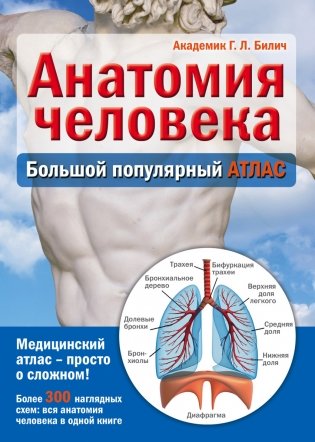 Анатомия человека. Большой популярный атлас фото книги