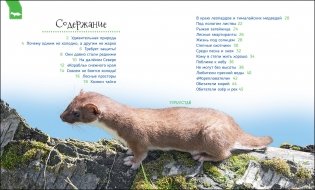 Животные России фото книги 3