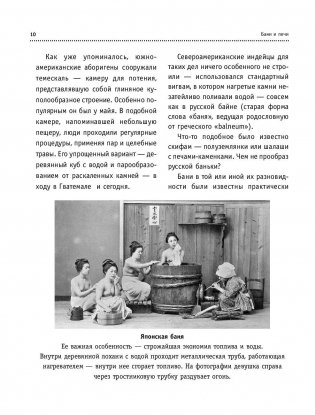 Бани и печи. Традиционная баня и ее печи фото книги 10