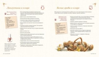 Вся Франция: 365 рецептов из всех провинций фото книги 4