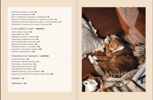 Дом там, где тепло. Уютные рецепты и коты для холодных дней фото книги 5