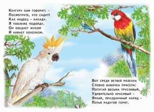 Про кого расскажет кенгуру фото книги 2