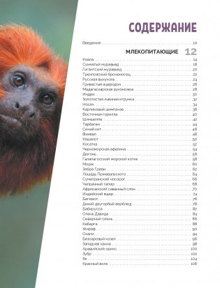 Красная книга мира: млекопитающие, птицы, рептилии, амфибии, рыбы фото книги 2