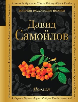 Поэзия (белая бумага) фото книги