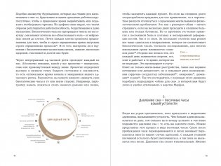 6 минут.  Дневник сна фото книги 21