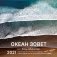 Океан зовет. Календарь настенный на 2021 год фото книги маленькое 2