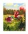 Маша и медведь фото книги маленькое 3