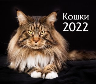 Календарь-домик (евро) "Кошки. Маркет" на 2022 год фото книги