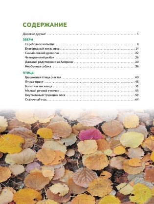 Чарующий мир природы. Березинский биосферный заповедник фото книги 6