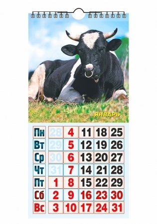Календарь настенный "Год быка" на 2021 год фото книги 2