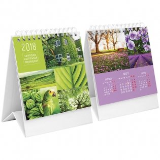 Календарь-домик "Идиллия природы", 100x140 мм, на гребне, на 2018 год фото книги