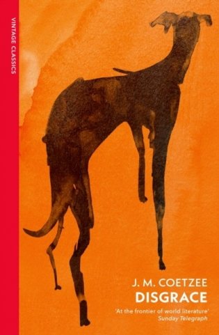 Disgrace фото книги