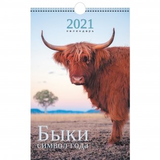 Календарь настенный перекидной на 2021 год "Символ года. Дизайн 3" фото книги