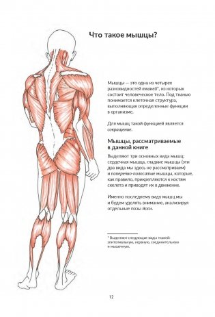 Анатомия йоги. Как работают мышцы фото книги 10