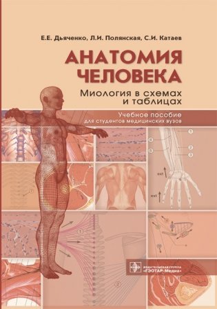 Анатомия человека. Миология в схемах и таблицах фото книги