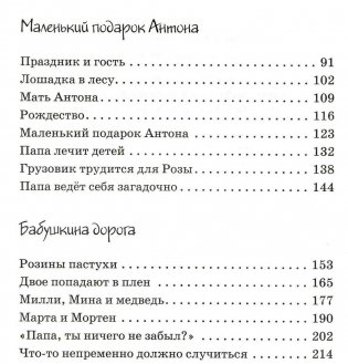 Папа, мама, бабушка и восемь детей в деревне, или Маленький подарок Антона фото книги 3