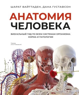Анатомия человека. Визуальный гид по всем системам организма: норма и патологии фото книги