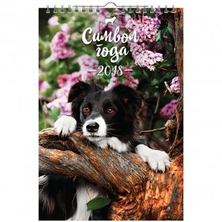 Календарь настенный "Символ года", перекидной, на гребне, 2018 год фото книги