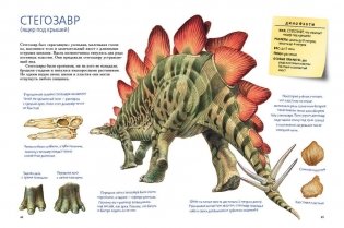 Такие разные динозавры фото книги 2