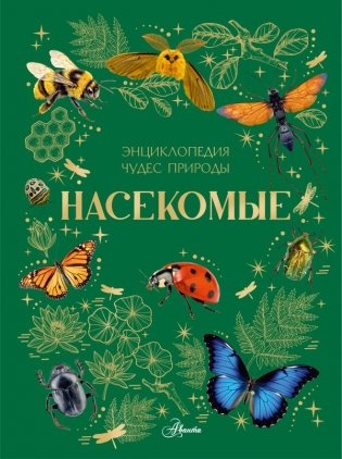 Насекомые фото книги