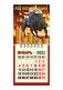 Календарь настенный отрывной "Год быка" на 2021 год фото книги маленькое 2