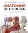 Анатомия человека. Визуальный гид по всем системам организма: норма и патологии фото книги маленькое 2