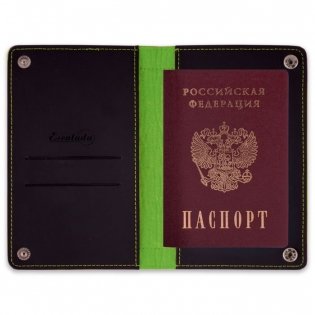 Органайзер-обложка для документов, цвет: салатовый, черный фото книги 4