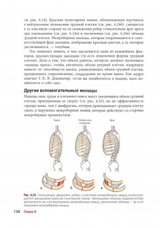 Анатомия йоги. Новейшая редакция фото книги 11