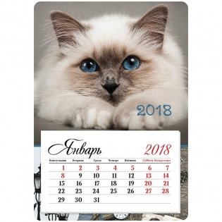 Отрывной календарь "Mono - Кошачья нежность", на магните, 95x135 мм, на 2018 год фото книги