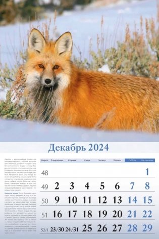 Календарь настенный перекидной на 2024 год "Особенности национальной охоты" (320х480 мм) на гребне с ригелем фото книги 3