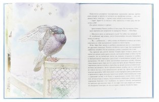 Арно фото книги 4